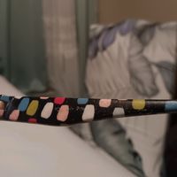 baejeanexotricwear.com