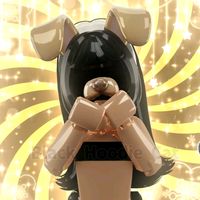tu_robloxiana010