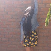 emysulcarayhuaman1
