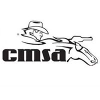 officialcmsa