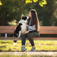 naira_bordercollie