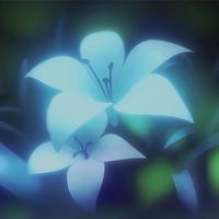 original sound - Wildflower Sam