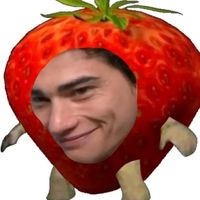 enzo_vogrincic.30