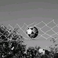 simao.y