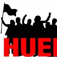 usuario81833