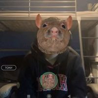 nextri.spam