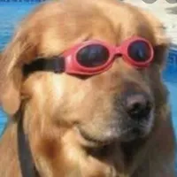 original sound - yourdailymusicrec