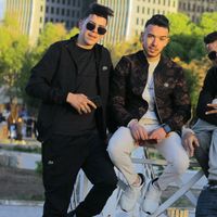 الصوت الأصلي