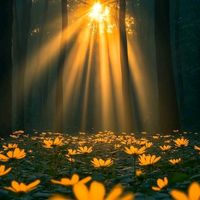 reflexionescristiana19