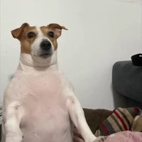 six5tony