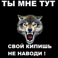 оригинальный звук