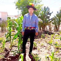 sonido original