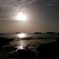 original sound - Scar