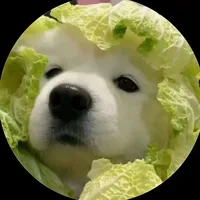 original sound - dastyj088