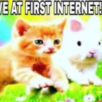 kittenswag09