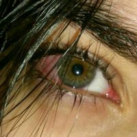 qofchrfcdcmm