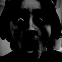 I do not own this sound