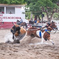 leandrorodrigues6330