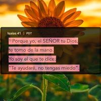 shunny039