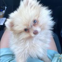 ._.leane._.mael._.fp