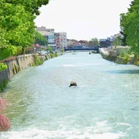 original sound - pejaktu2