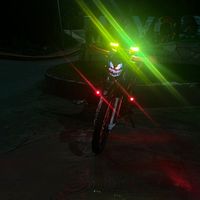 elgueroofi_17