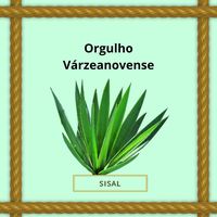 orgulho_vn