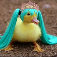 officially_duck