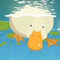 luxiducki