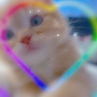.diarychvrz