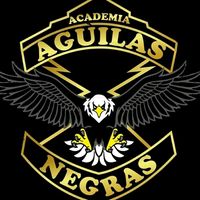 academiaaguilasnegras