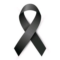 paolademateojosue