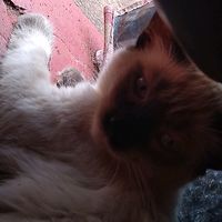 user033303301
