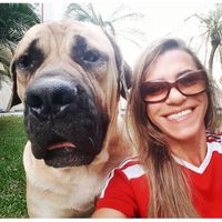 petsdaangela