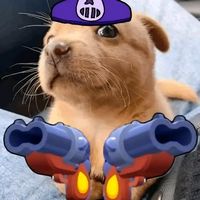 lupe_.93_tiktok5