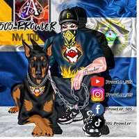 original sound - 505_prowler