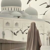 shanzayawan1