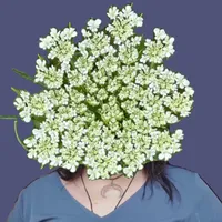 original sound - itsjessilyn