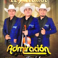 El burro loco zapateado cover
