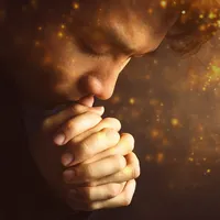 original sound - userabisharky