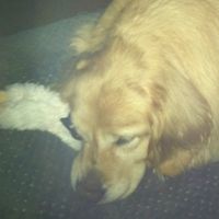 imtix_fn