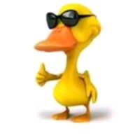 uma_pessoa_qualquer264