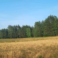 the_michal5110