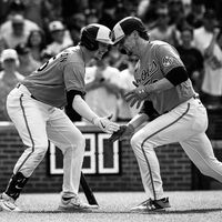 birdland.vision
