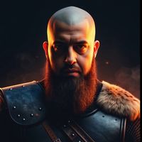 pali_viking