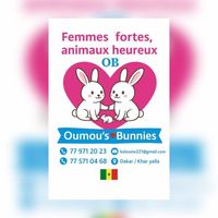 oumou.s_bunnies
