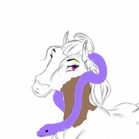 bella._.horse0