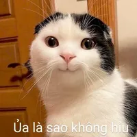 original sound - khongyeuthivut0