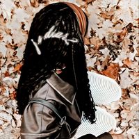j.s.diary2