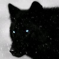 black._.alpha._.wolf